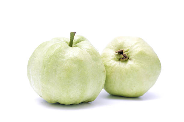 GUAVA